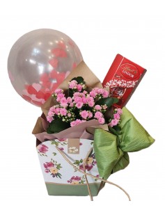 Gift planta, bombons 75g e balão 01 