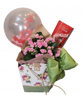 Gift planta, bombons 75g e balão 01 