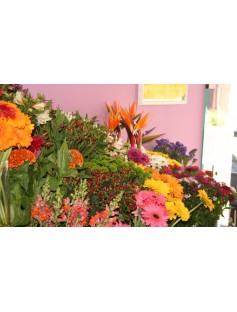 Flor ao cuidado da Florista